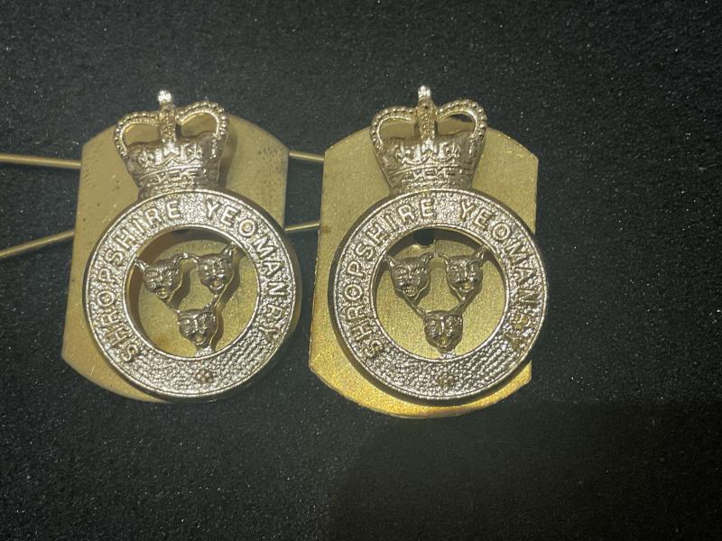 Shropshire Yeomanry anodised collar badges