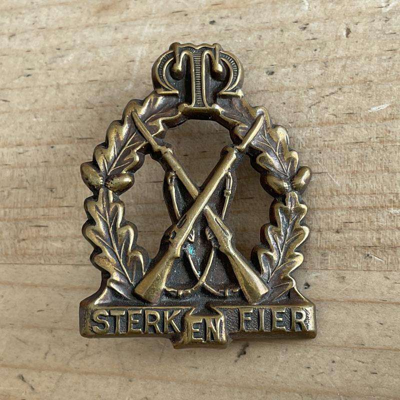 South African, Regiment Tobin Muller brass cap badge.
